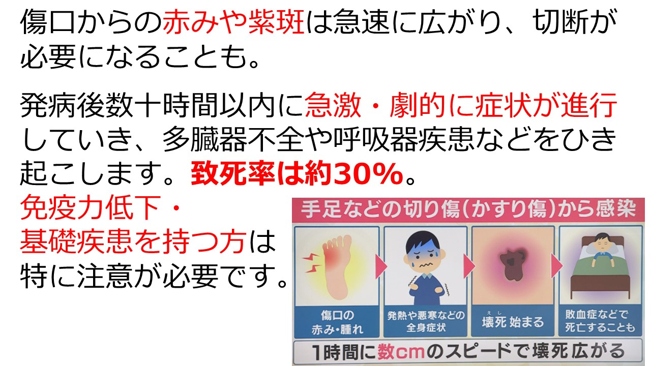 人食いバクテリアって、なにもの？？｜福祉・介護・支援 社会福祉法人 奉優会（ほうゆうかい）